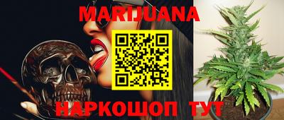 гидропоника Майкоп