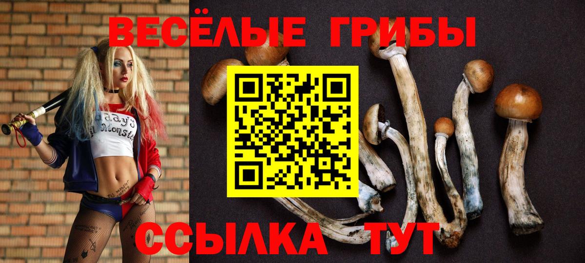 Галлюциногенные грибы прущие грибы Воронеж